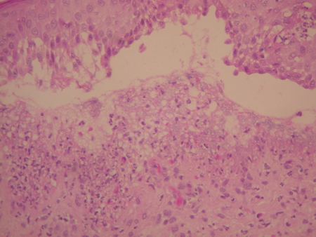 Fig. 6 - <div style=